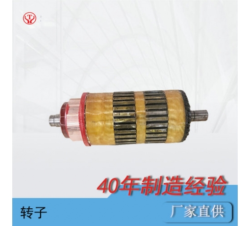 ZQ-7（新3噸機車(chē)）直流牽引電機電樞