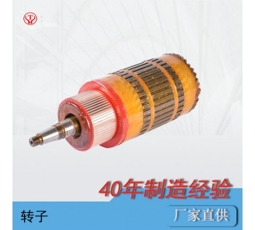 ZQ-1.9輔助直流牽引電機電樞（250V，550V）